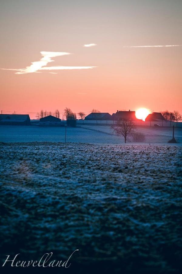 Bed and Breakfast 'T Wolvennest Heuvelland Exteriér fotografie